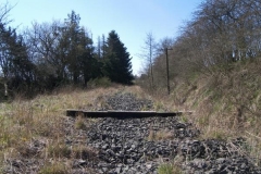 52