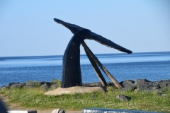 219