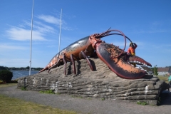 241