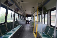 262
