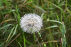 362