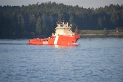 d24-117