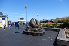 DSCN1028