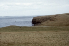 img3154