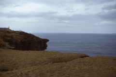 img3167